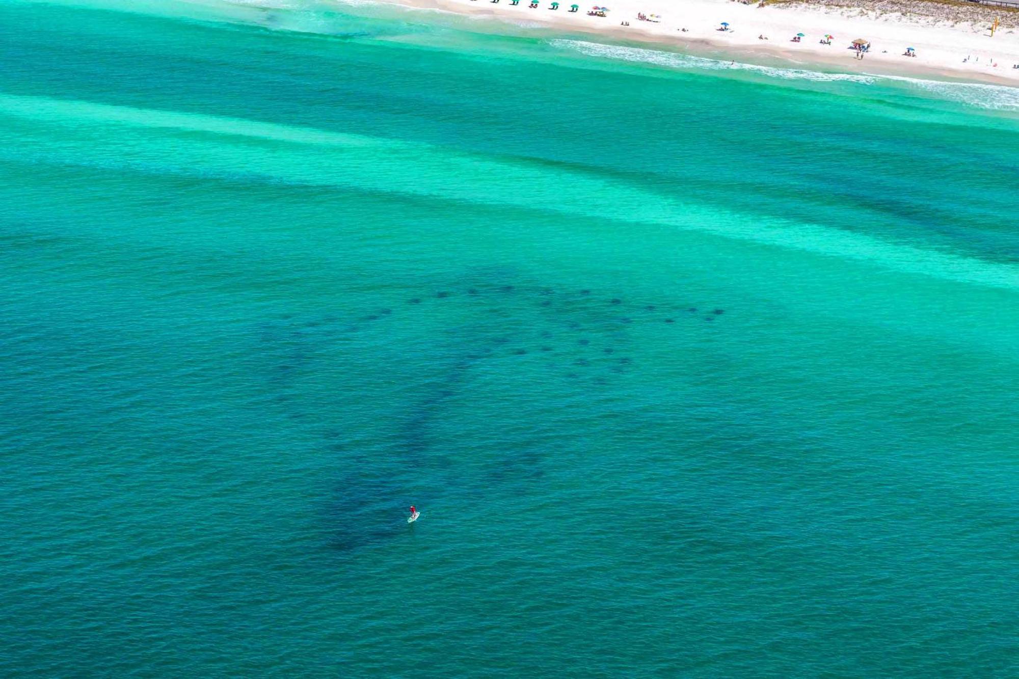 Ariel Dunes I 203 Daire Destin Dış mekan fotoğraf